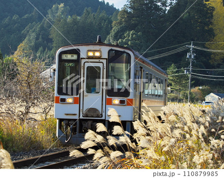 伊勢奥津駅付近のススキの中を走る気動車キハ11型 110879985