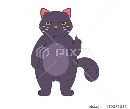Grumpy cat a fat fluffy feline gray with yellow eyes. A frustrated character who doesn't like anything And he shows paw with his middle finger Grumpy cat a fat fluffy feline gray with yellow eyes. A frustrated character who doesn't like anything And he shows paw with his middle finger 110881038