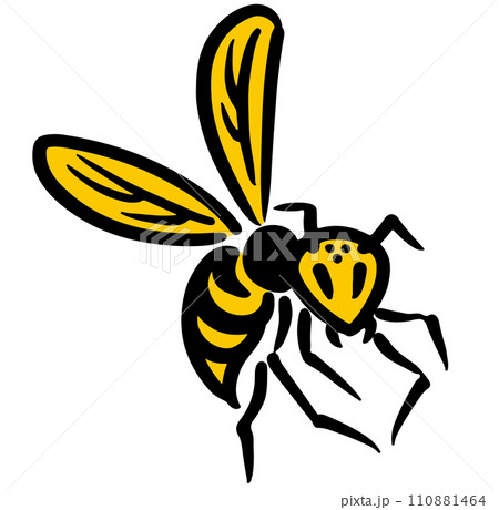 こちらを見るスズメバチ。アイソメトリック図。 こちらを見るスズメバチ。アイソメトリック図。 110881464