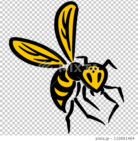 こちらを見るスズメバチ。アイソメトリック図。 こちらを見るスズメバチ。アイソメトリック図。 110881464