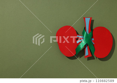 Kidney moon concept, kidneys on a green background. 110882589