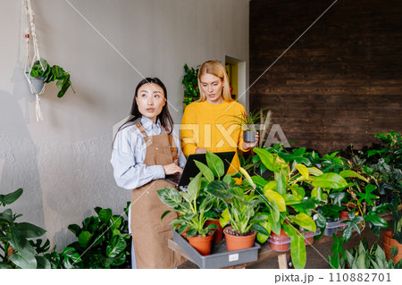Botanical Tech and Green Haven. Female Asian Shop Owner Talking With middle age adult woman wearing yellow sweater, holding Laptop, and an Array of Potted Plants in Focus. 110882701