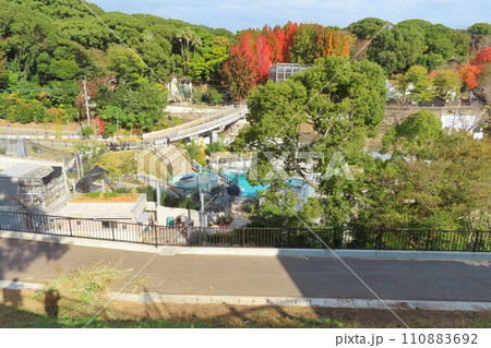 【福岡県】福岡市動植物園 【福岡県】福岡市動植物園 110883692