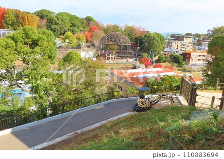 【福岡県】福岡市動植物園 【福岡県】福岡市動植物園 110883694