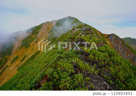 カムイエクウチカウシ山頂上への登山道 110883991
