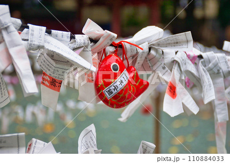金王八幡宮のおみくじと鯛のおみくじ(東京都渋谷区) 金王八幡宮のおみくじと鯛のおみくじ(東京都渋谷区) 110884033