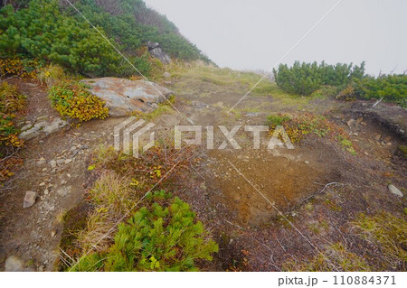カムイエクウチカウシ山頂上直下のテント場 カムイエクウチカウシ山頂上直下のテント場 110884371