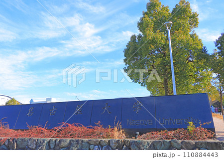 愛知県名古屋市、名古屋大学の風景 110884443