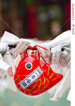 金王八幡宮のおみくじと鯛のおみくじ(東京都渋谷区) 金王八幡宮のおみくじと鯛のおみくじ(東京都渋谷区) 110884649