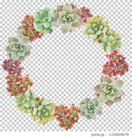 多肉植物水平植物花環 110884679