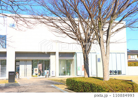 愛知県西尾市、西尾市岩瀬文庫の風景 愛知県西尾市、西尾市岩瀬文庫の風景 110884993