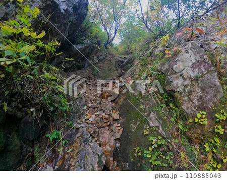カムイエクウチカウシ山登山道の急登 カムイエクウチカウシ山登山道の急登 110885043