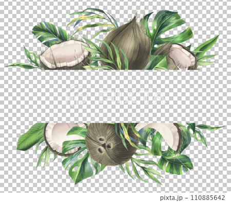 Coconuts whole, halves and pieces with bright, green, tropical palm leaves. Hand drawn watercolor illustration. Frame, template, blank isolated from the background. Coconuts whole, halves and pieces with bright, green, tropical palm leaves. Hand drawn watercolor illustration. Frame, template, blank isolated from the background. 110885642
