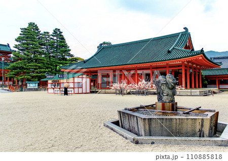 【京都】春の平安神宮 桜みくじと蒼龍の手水鉢 【京都】春の平安神宮 桜みくじと蒼龍の手水鉢 110885818