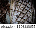 木と切り痕 110886055