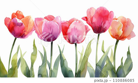 チューリップの花の水彩画