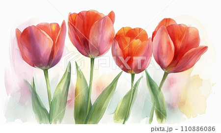 チューリップの花の水彩画