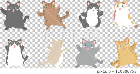 dancing cats_8 110886755