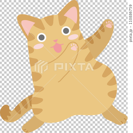 跳舞的貓_棕色虎斑貓 110886759