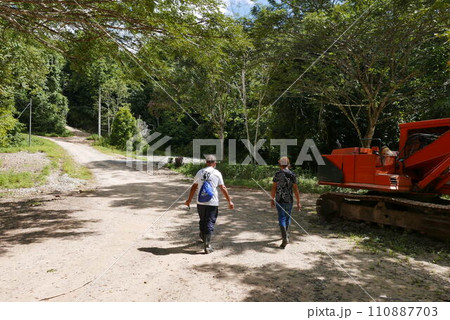 Rainforest Discovery Center. Sandakan is also the second largest town in Sabah, Malaysia. Known as the Natural City, Sandakan visitors have the opportunity to explore wildlife sanctuaries and discover 110887703
