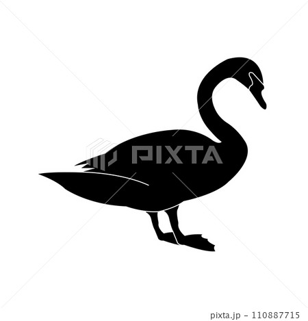 Swan icon 110887715
