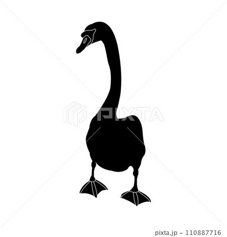 Swan icon 110887716