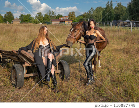 Beautiful caucasian young women with horse and old horse cart 110887749