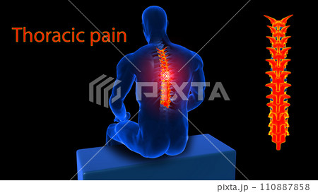 Human skeleton back pain anatomy for medical concept 3D rendering Human skeleton back pain anatomy for medical concept 3D rendering 110887858
