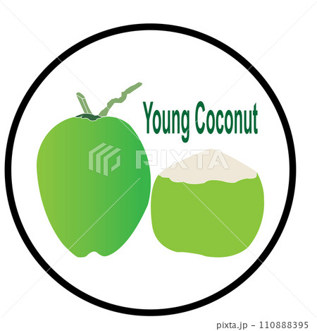 Young coconut icon 110888395