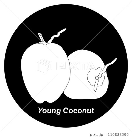 Young coconut icon Young coconut icon 110888396