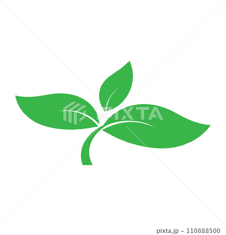 Leaf icon Leaf icon 110888500