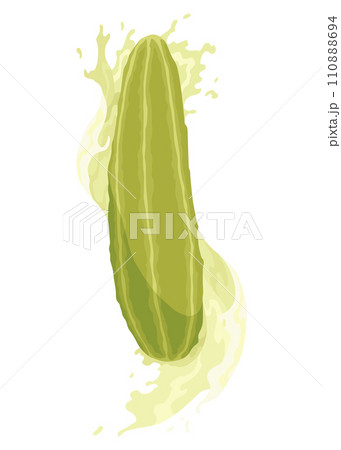 Homemade pickled cucumber. Clip-art of marinated food for packaging, label, menu, signboard or showcase. Fermented veggies, crunch gherkin with salt. Healthy vegetarian food Homemade pickled cucumber. Clip-art of marinated food for packaging, label, menu, signboard or showcase. Fermented veggies, crunch gherkin with salt. Healthy vegetarian food 110888694