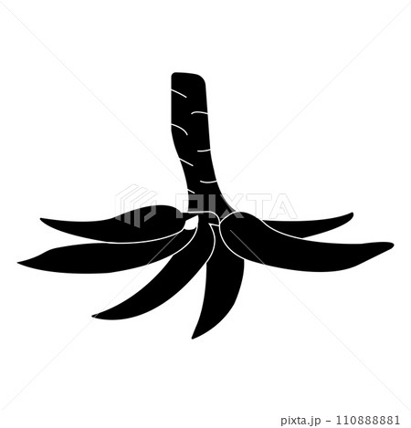 Cassava icon 110888881