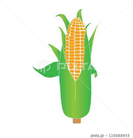 Corn icon Corn icon 110888933