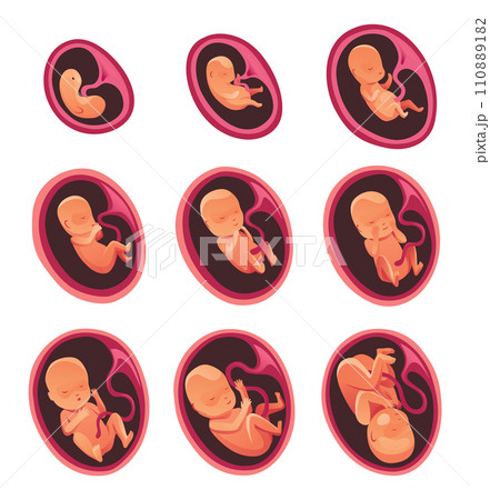 Baby cycle 9 clearance months