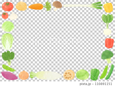 いろいろな野菜のフレーム　手描き風 110891151