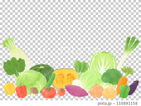 各種蔬菜的集合插圖，手繪風格 110891158