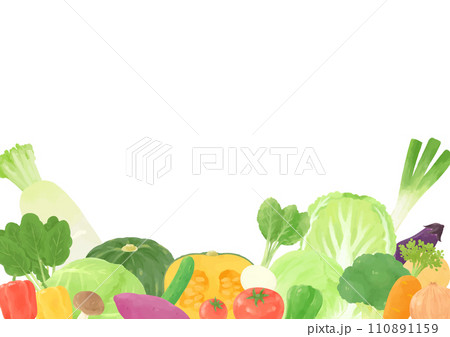 いろいろな野菜のフレーム　手描き風 110891159