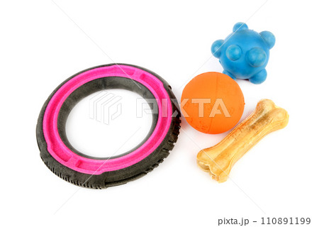 Set of dog toys isolated on white. Collage. 110891199
