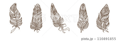 Hand Drawn Bird Feather and Fluffy Plumage Element Vector Set Hand Drawn Bird Feather and Fluffy Plumage Element Vector Set 110891855