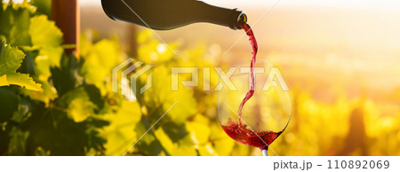 Wine glass with pouring red wine Wine glass with pouring red wine 110892069