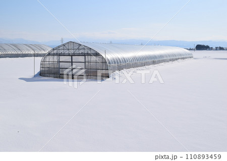 豪雪地方のビニールハウス 豪雪地方のビニールハウス 110893459