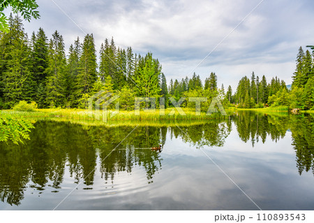 Vrbicke glacial lake and the largest natural lake in Low Tatras, Slovakia 110893543