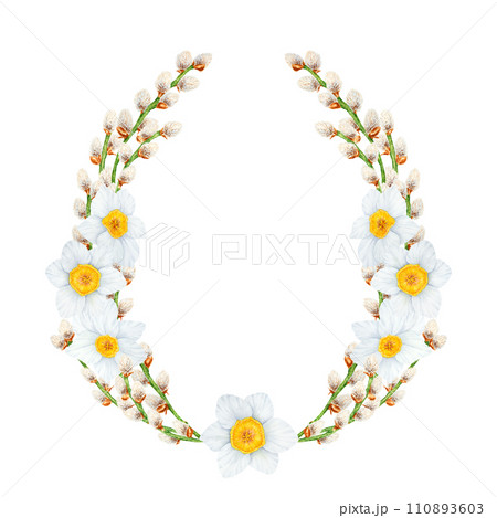 Hand drawn watercolor frame of pussy willow, narcissus. Clip art, symbol of religious holidays, Easter, Lunar New Year. Green branches with soft salix buds, flowers. Spring painting for prints 110893603