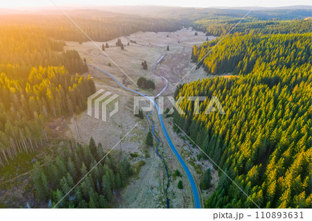 Coniferous forest at sunset from an aerial drone perspective. Valley landscape with an asphalt road and a stream in the Ore Mountains region, Czech Republic. 110893631