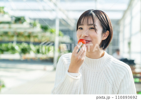 イチゴ狩りをする女性 いちご狩りをする女性 イチゴ狩りをする女性 いちご狩りをする女性 110893692
