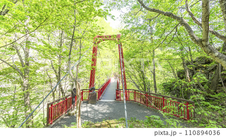 新緑の二見吊橋　16:9　定山渓　札幌市 110894036