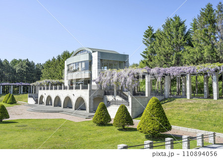 展望ラウンジと藤棚　前田森林公園　札幌市 110894056