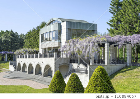 展望ラウンジと藤棚　前田森林公園　札幌市 110894057