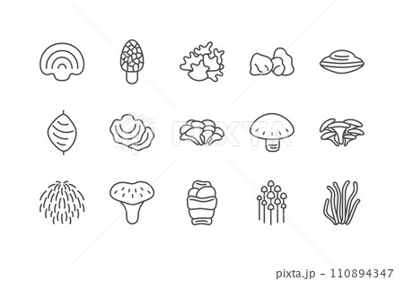 Medicinal mushroom line icon set. Different types of mushroom vector illustration Medicinal mushroom line icon set. Different types of mushroom vector illustration 110894347